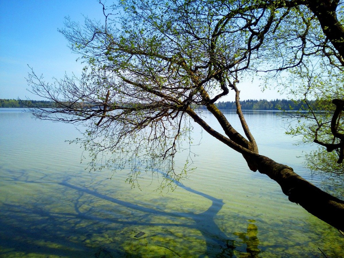 Озеро Свитязь фото