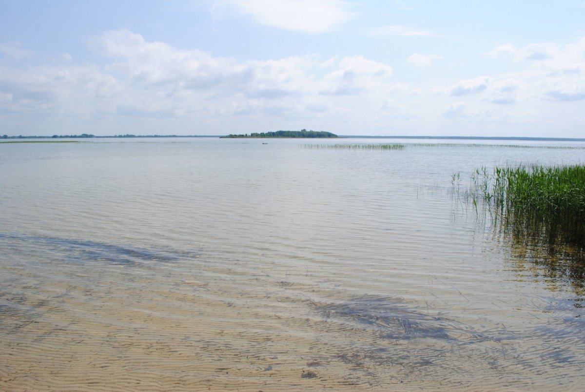 Озеро Свитязь Гродненская область