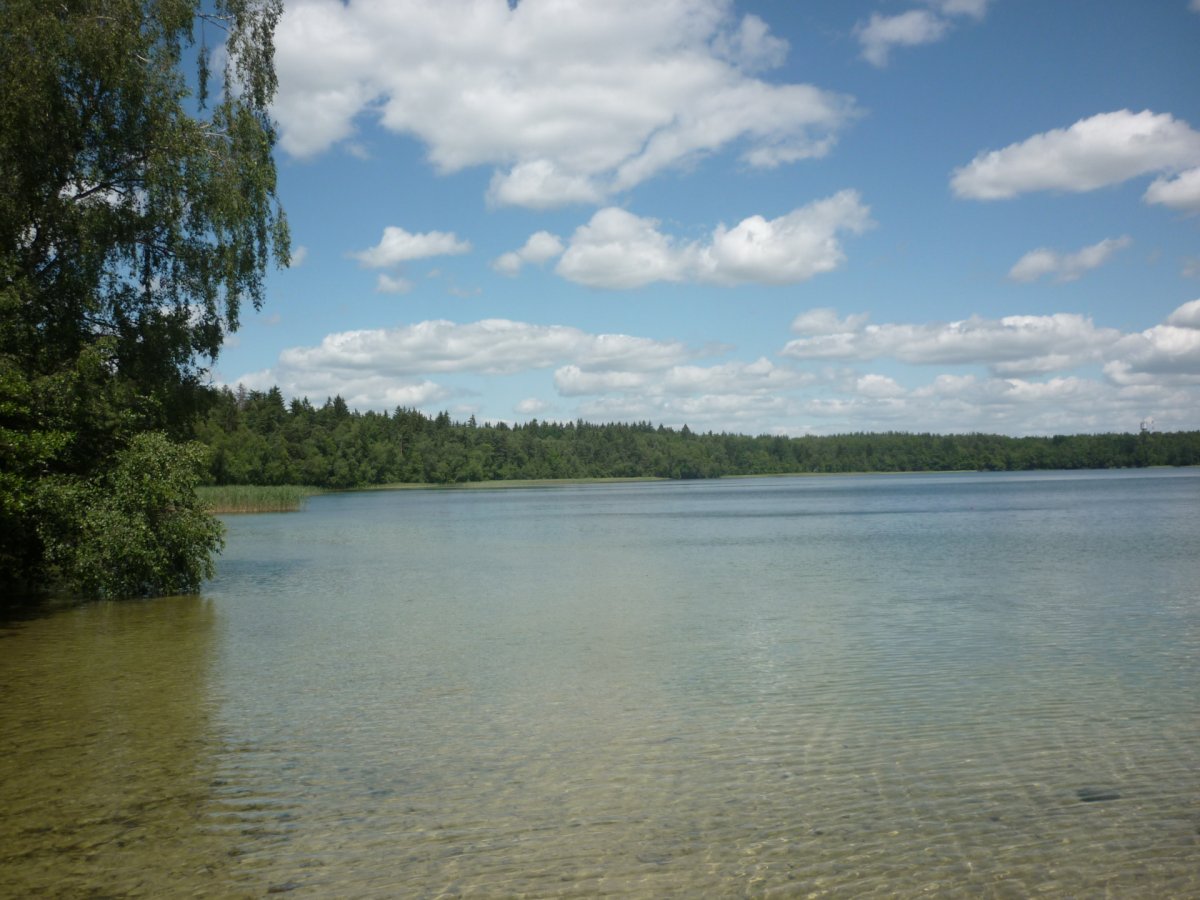 Свитязь озеро Новогрудок