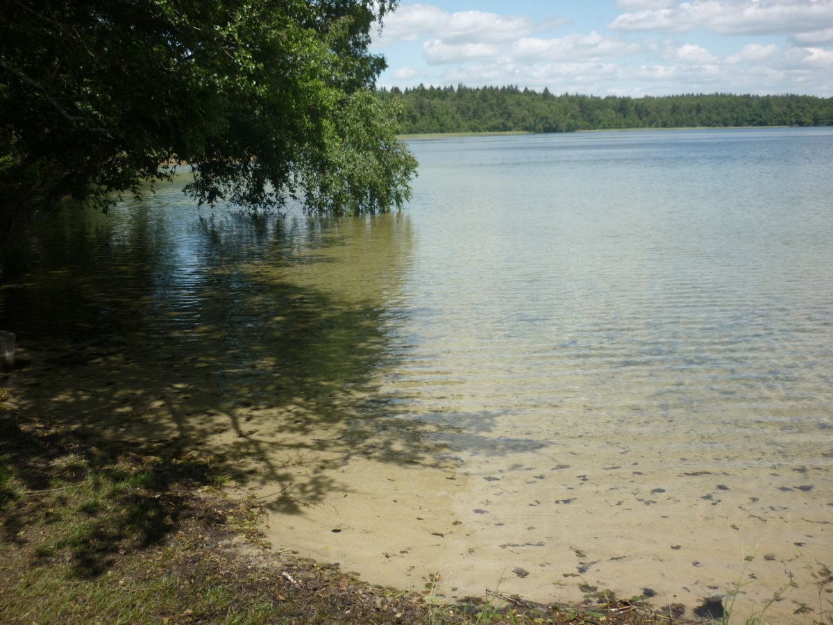 Озеро Свитязь Легенда