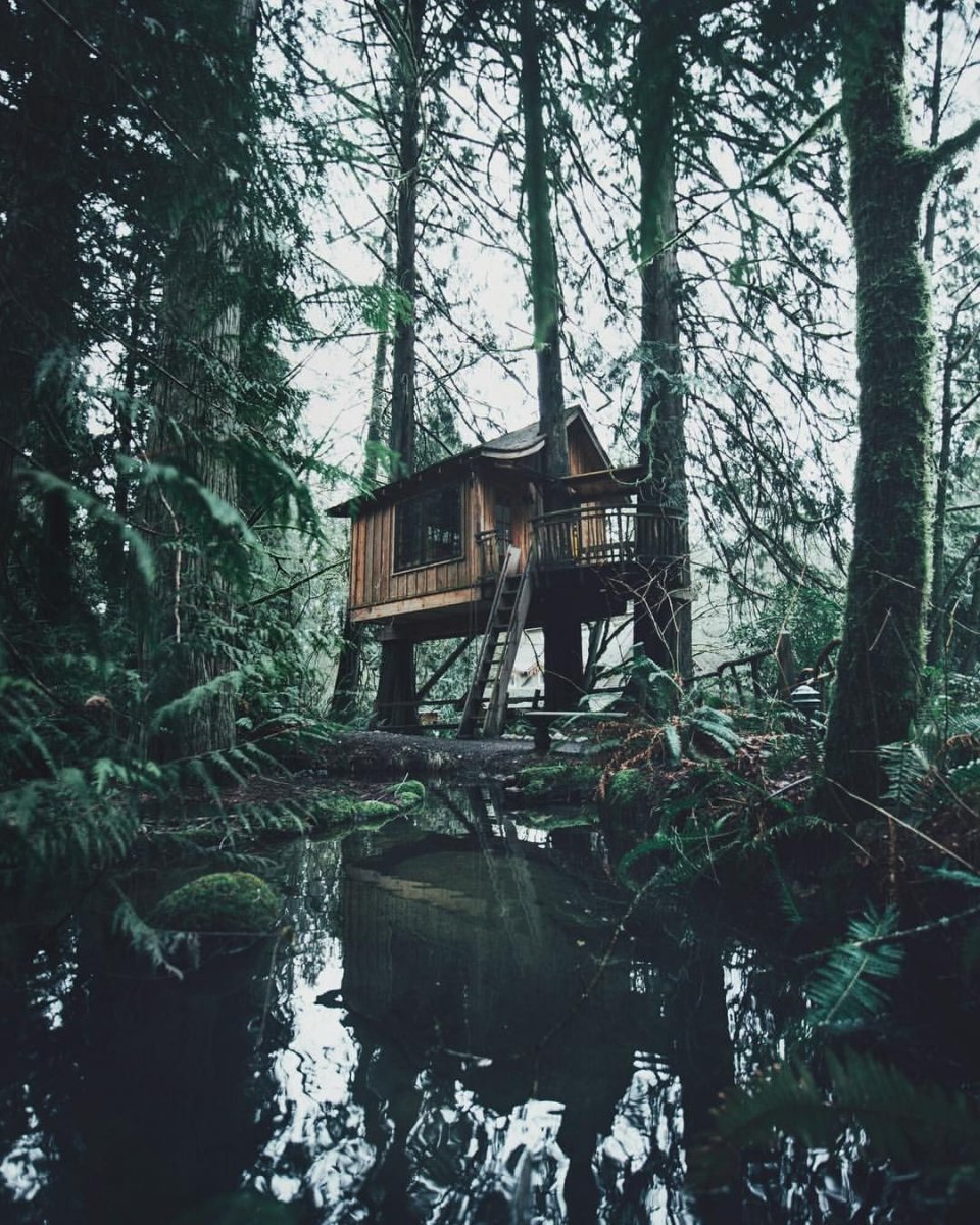 Дом шалаш в лесу