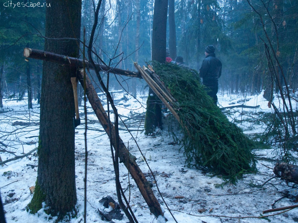 Выживание в лесу Россия