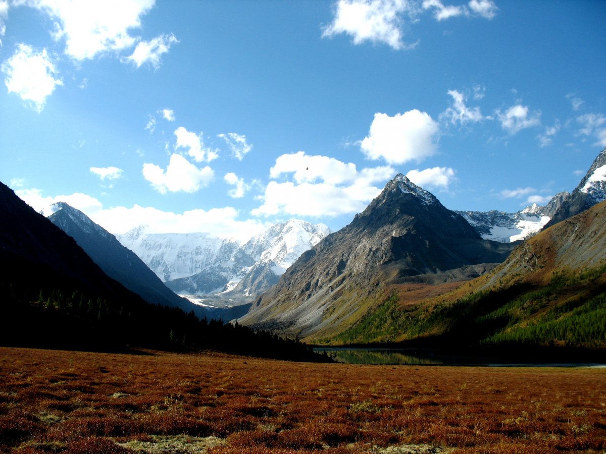 Тюнгур горный Алтай