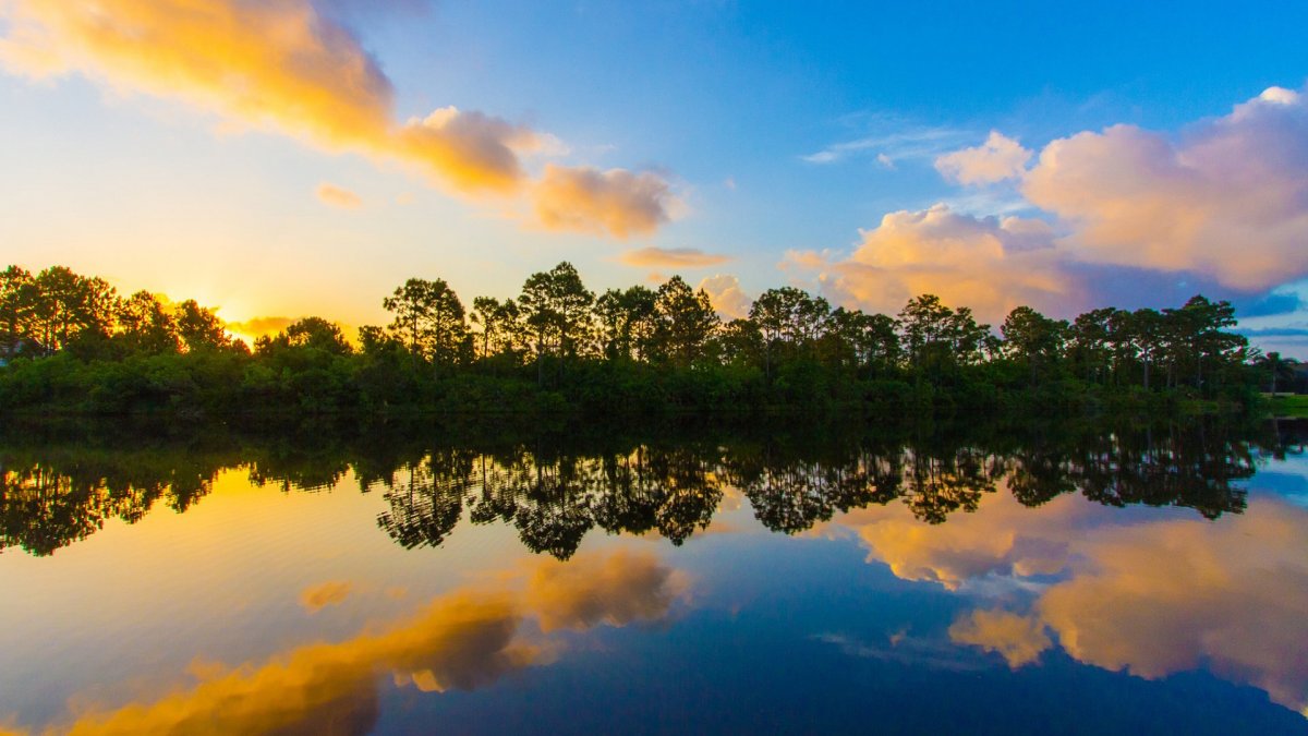 Штат Флорида природа