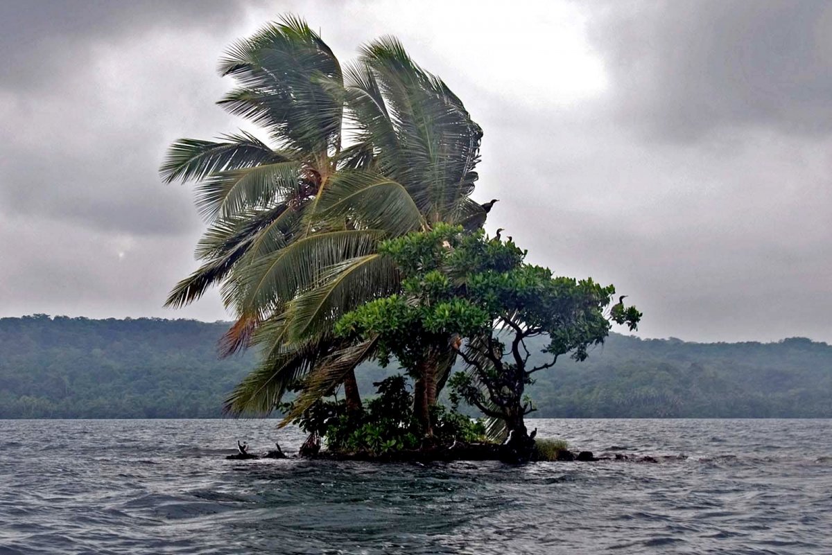 Пляжи Соломоновых островов Solomon Islands