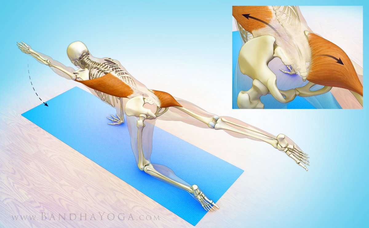 Упражнения для растяжки мышц тазобедренного сустава