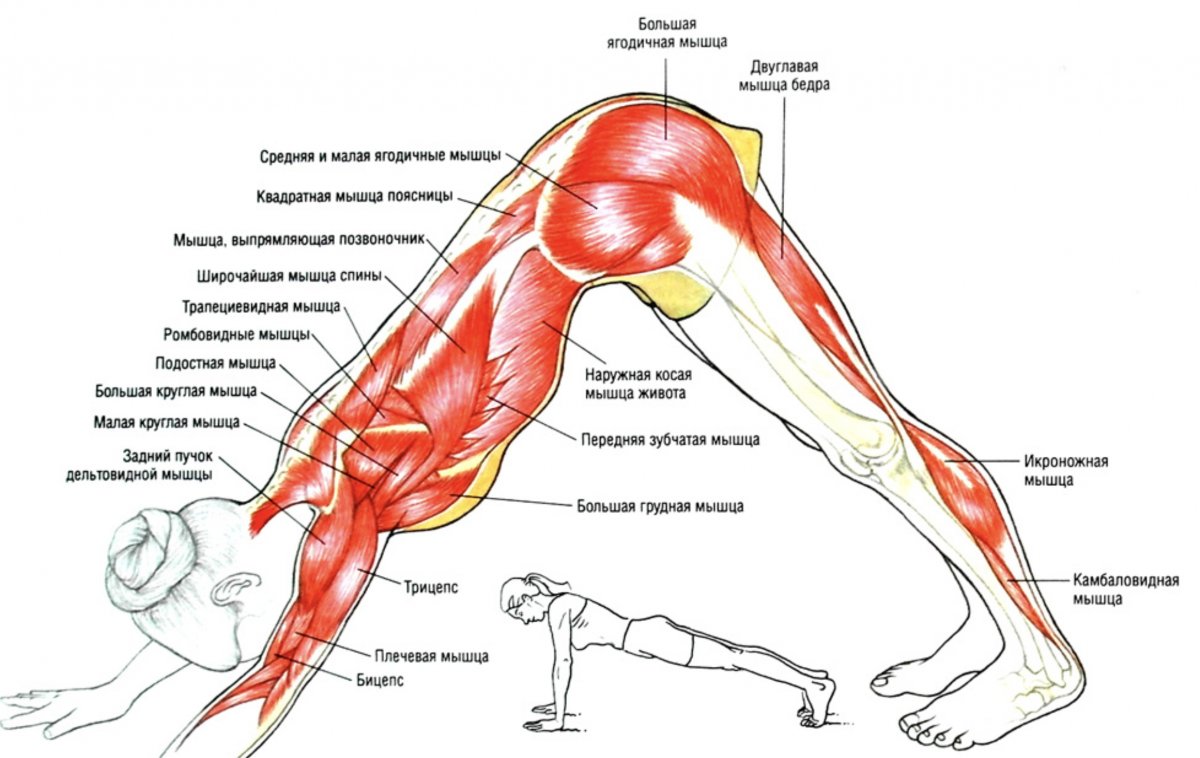 Упражнения для расслабления грушевидной мышцы