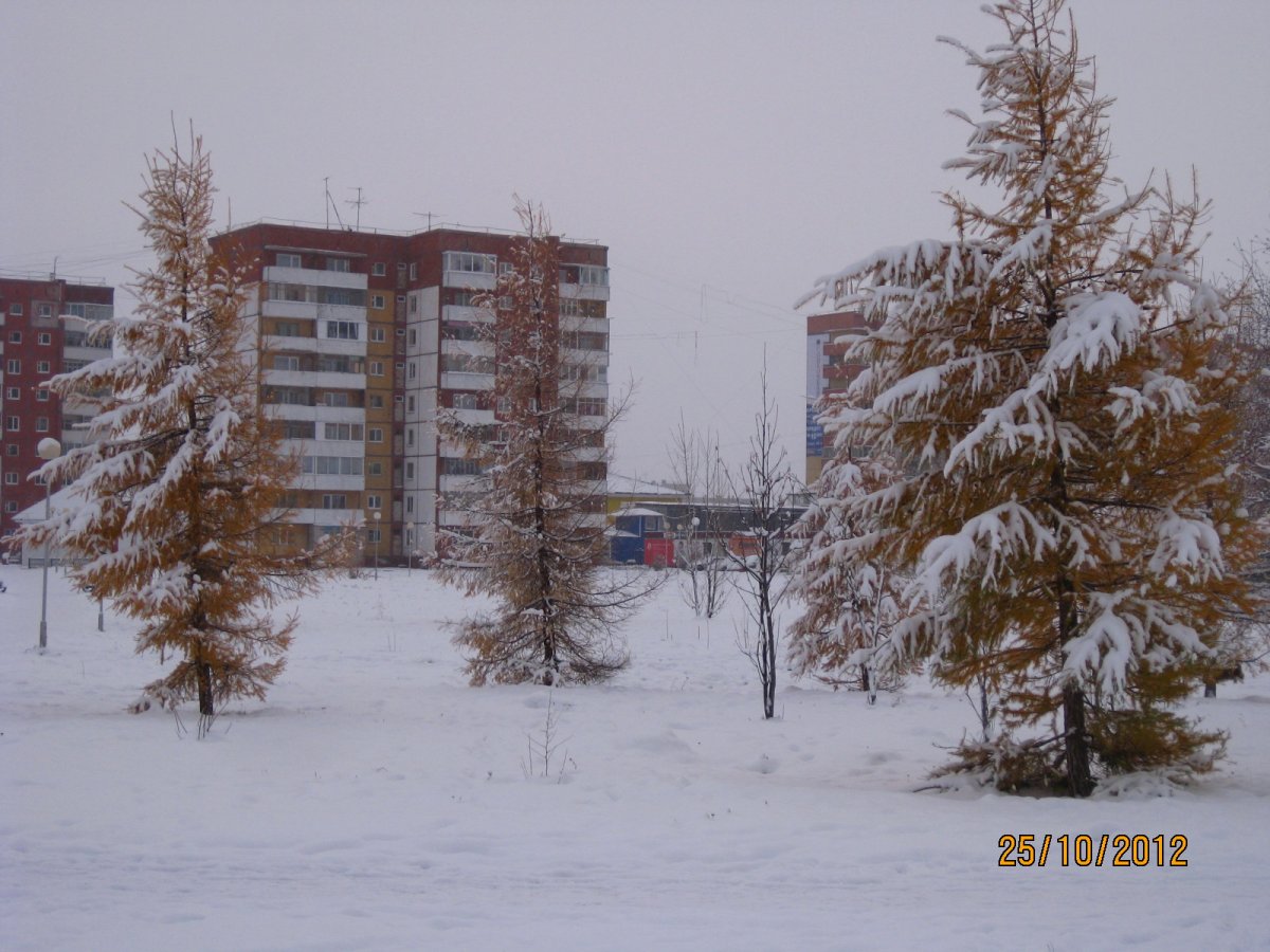 Новый район в Шарыпово фото вид