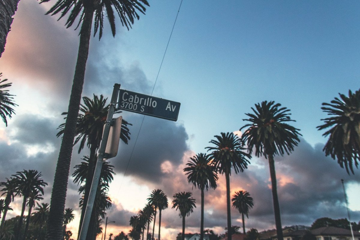 Лос Анджелес пальмы Pink