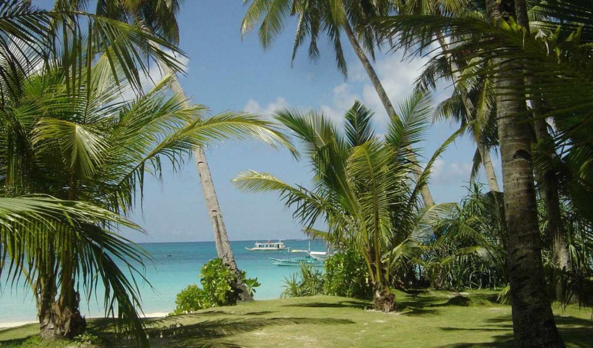 Остров Вакайя Фиджи пальмы