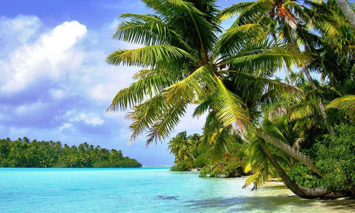 Остров пальмы море