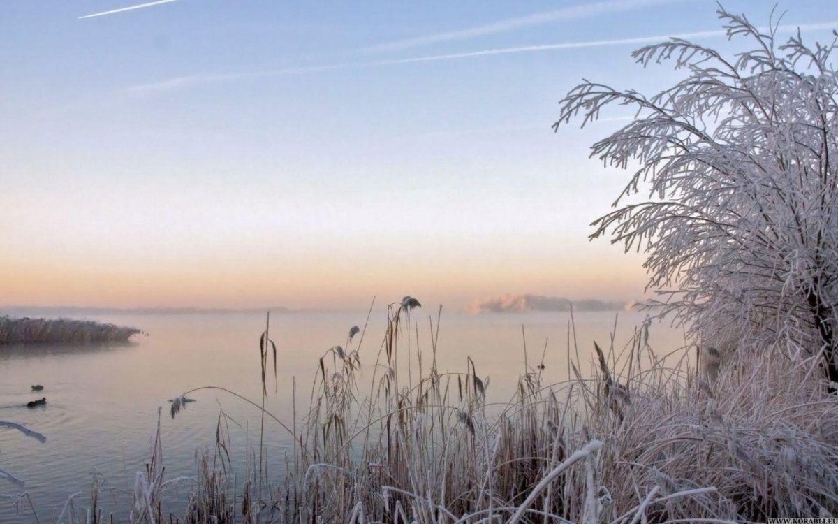Зимнее утро на озере