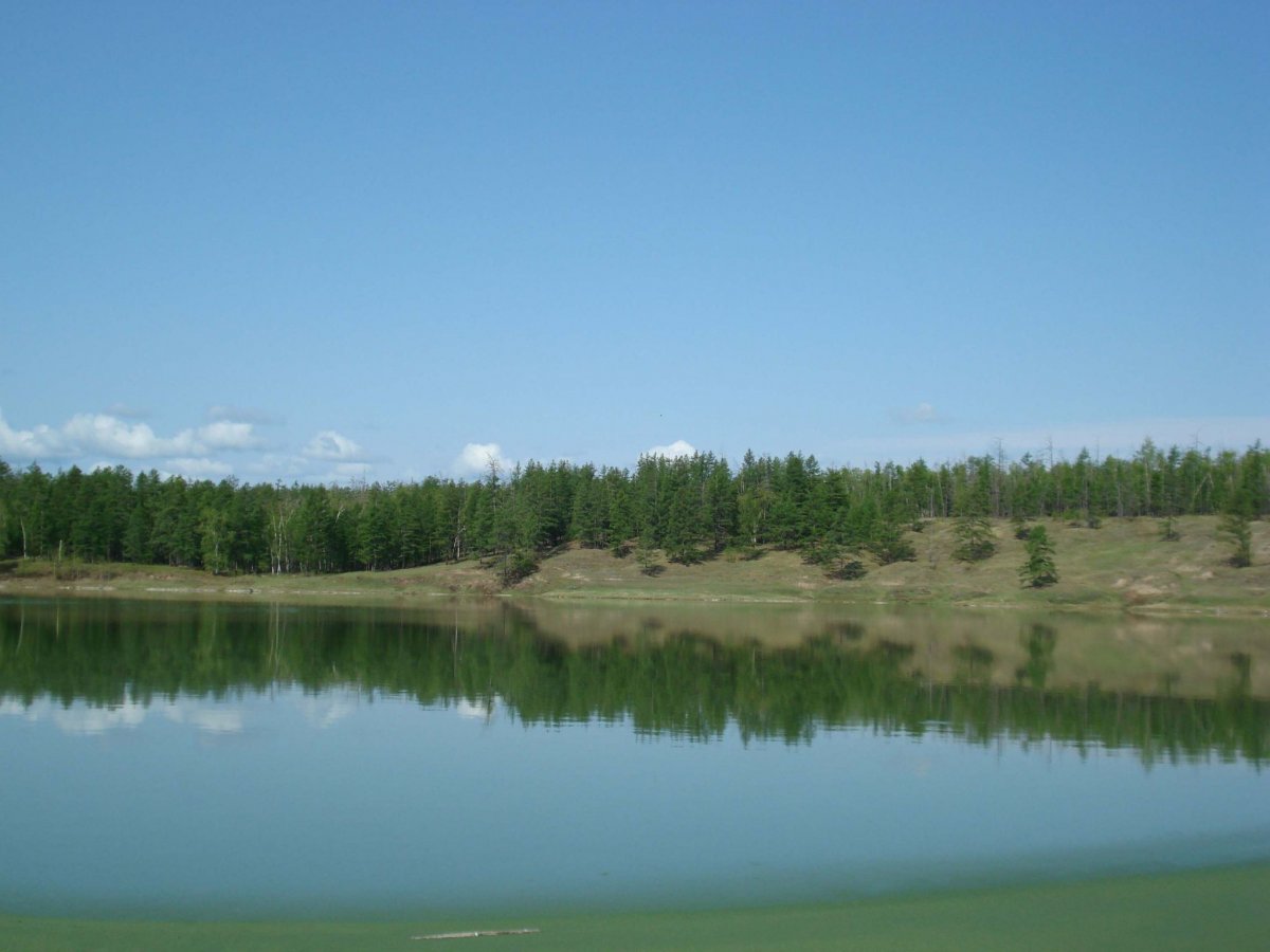 Озеро Линево Шарыповский район