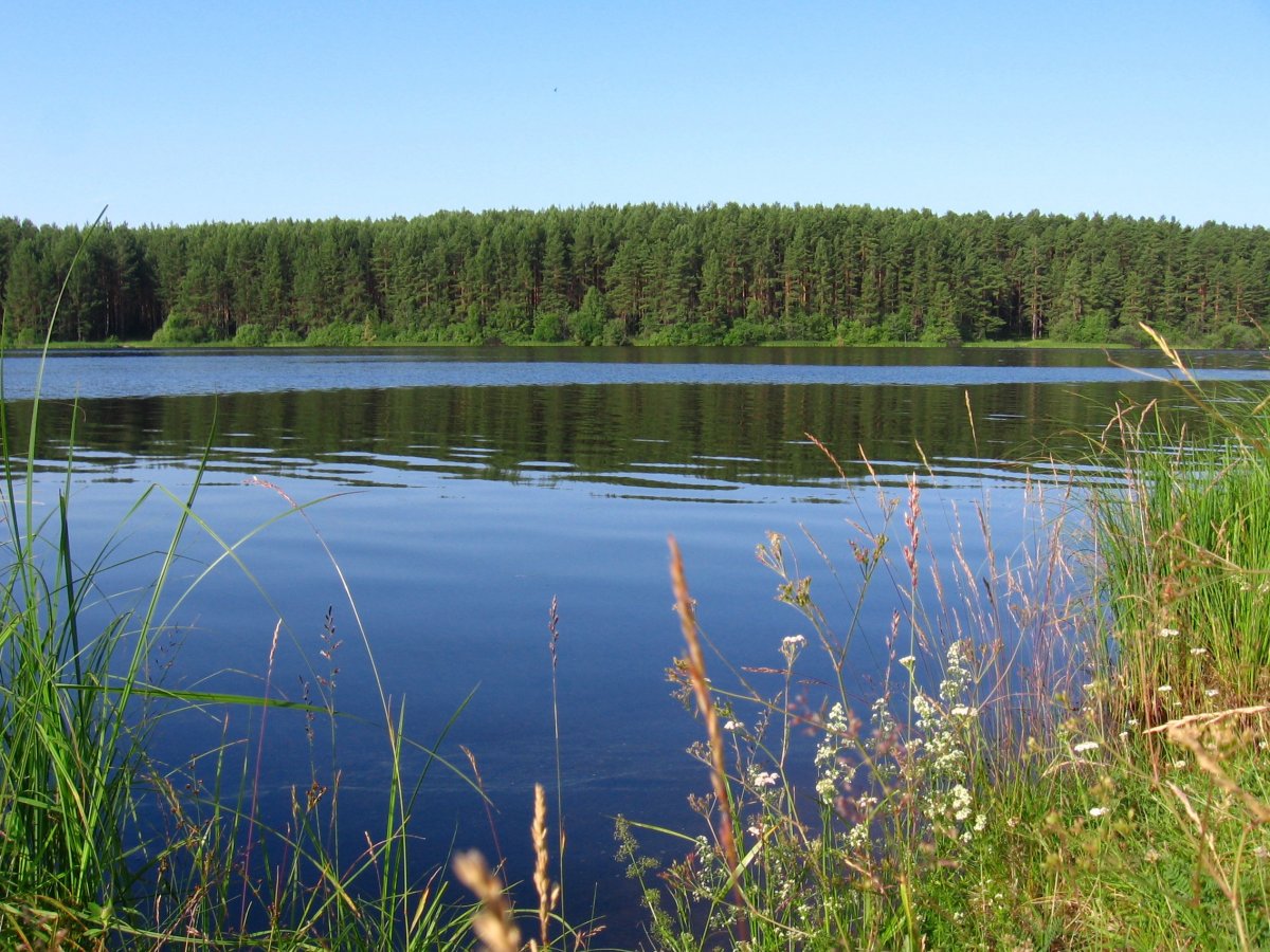 Зеркальное озеро Псков