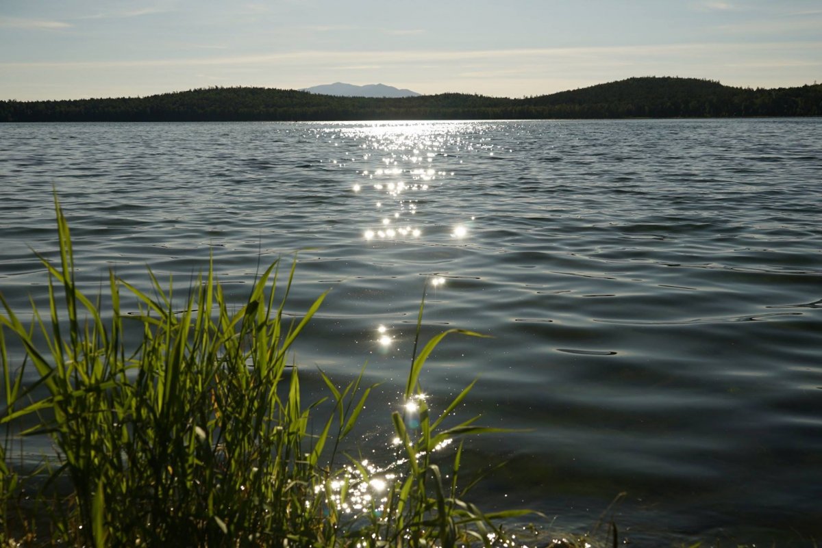 Озеро дикое Кучердаевка
