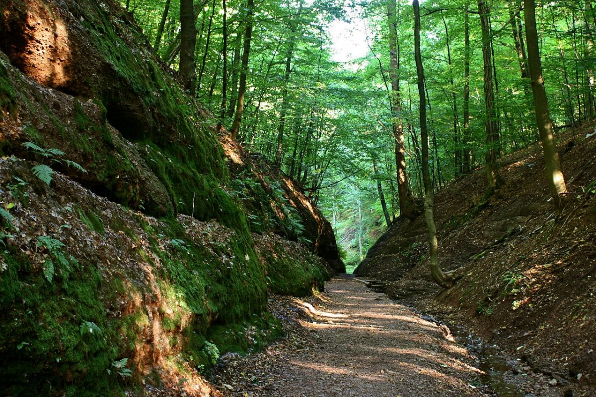 Тюрингский лес Тюрингия