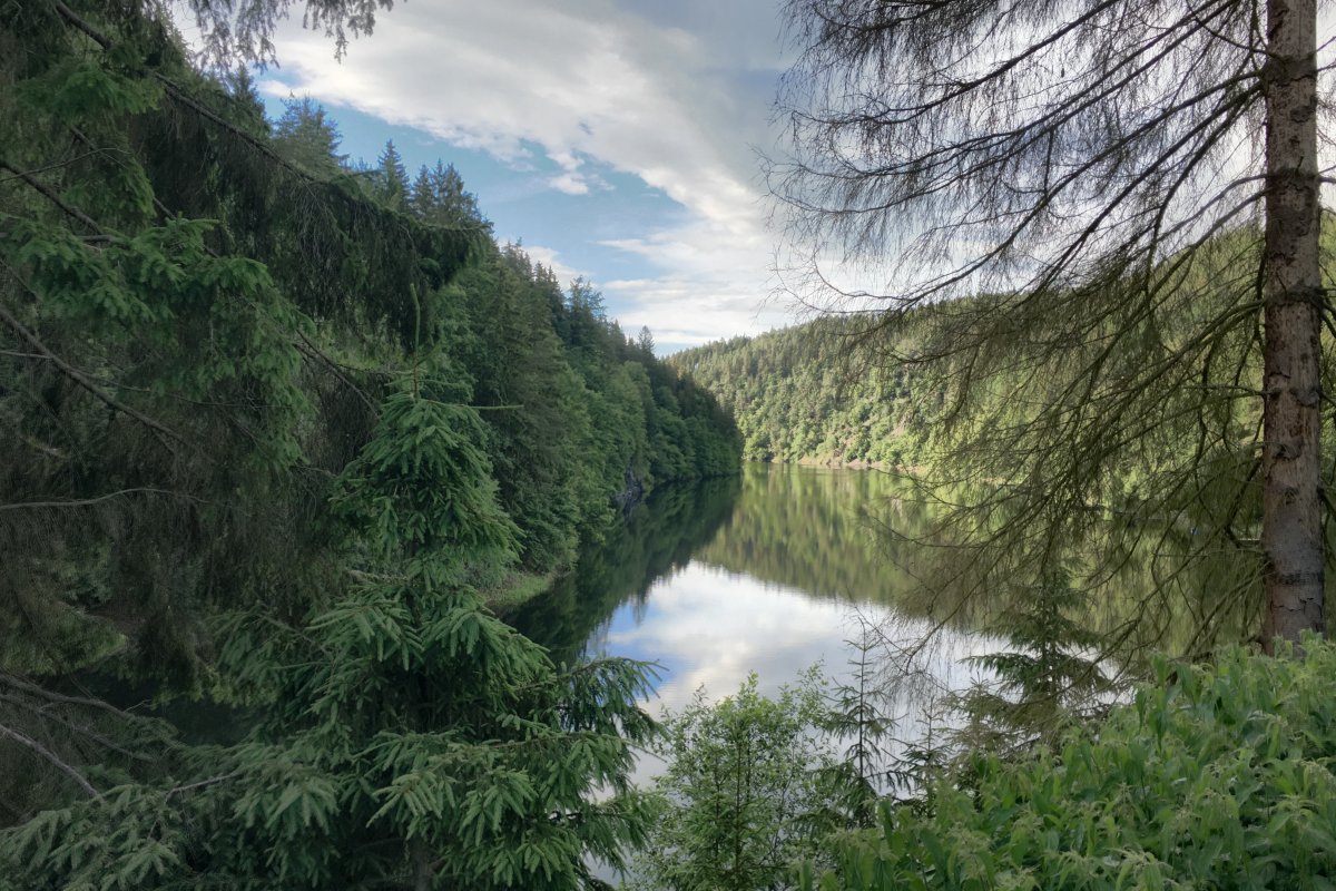 Тюрингенский лес в Германии