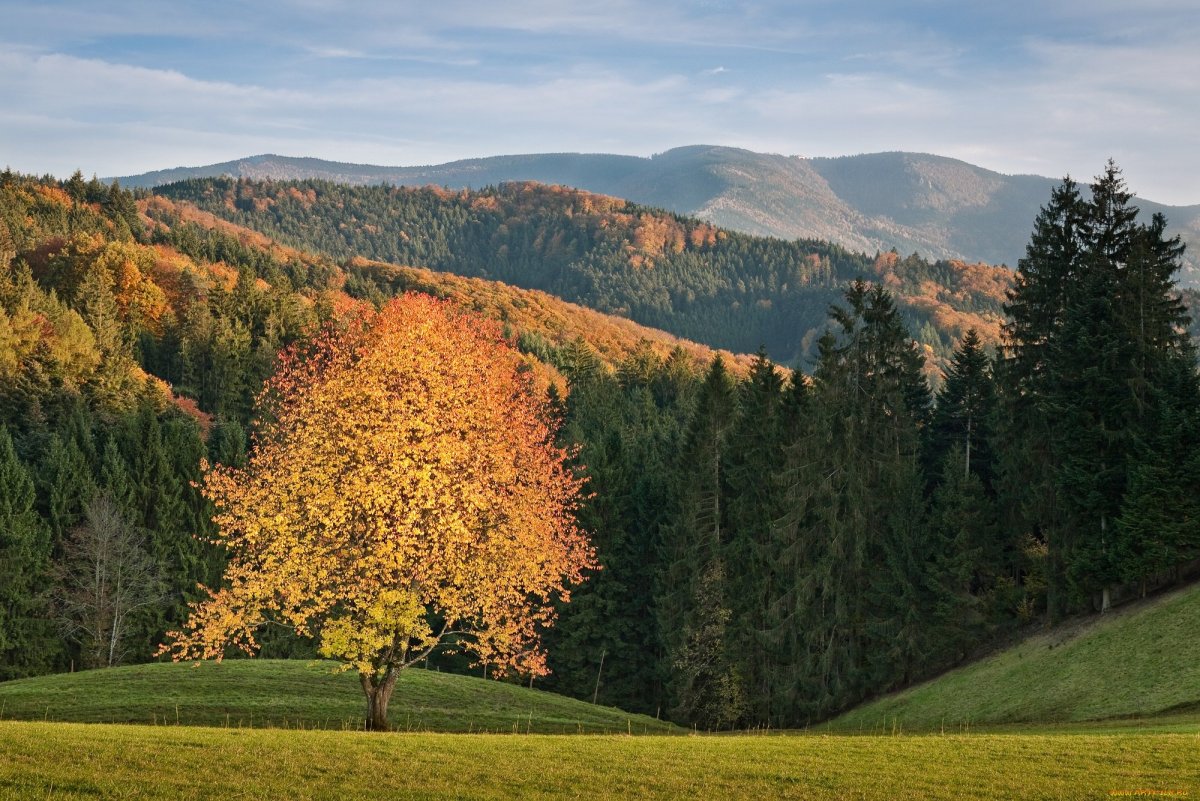 Тюрингский лес Тюрингия