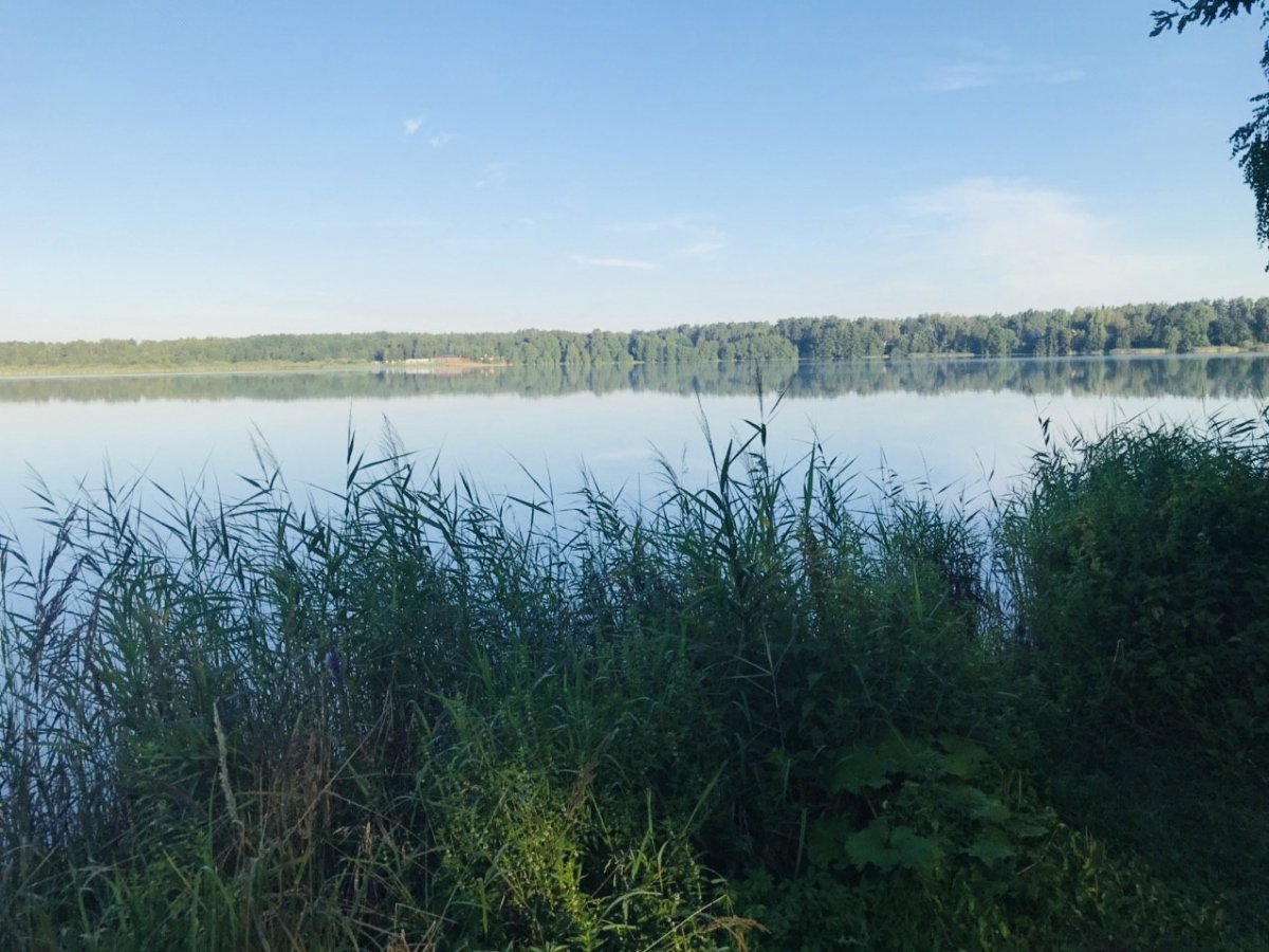 Кузнецовское озеро Ленинградская