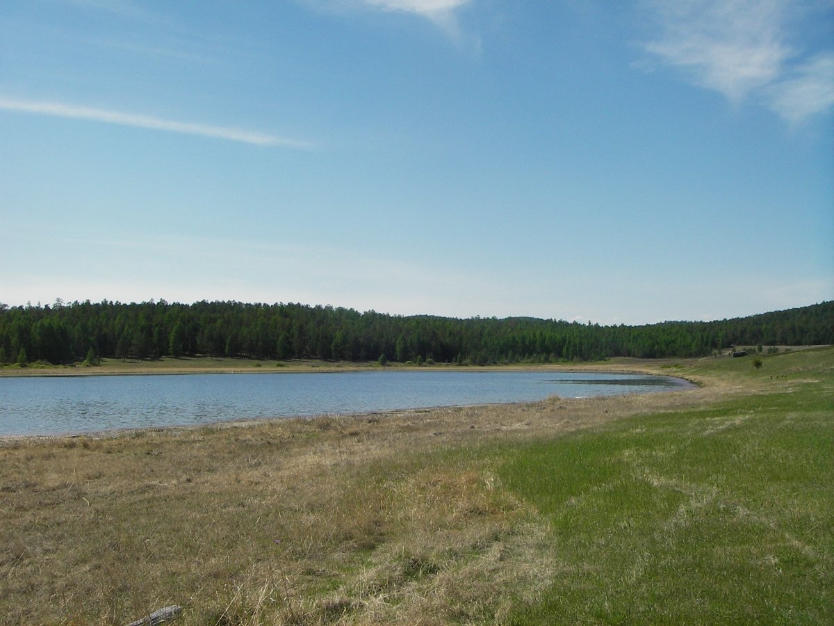 Пендиковское озеро Тосненский район