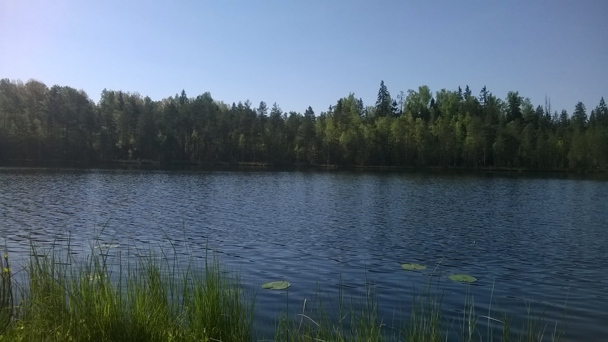 Пендиковское озеро