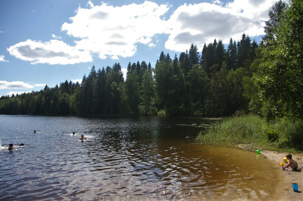 Озеро Пендиковское Ленинградская