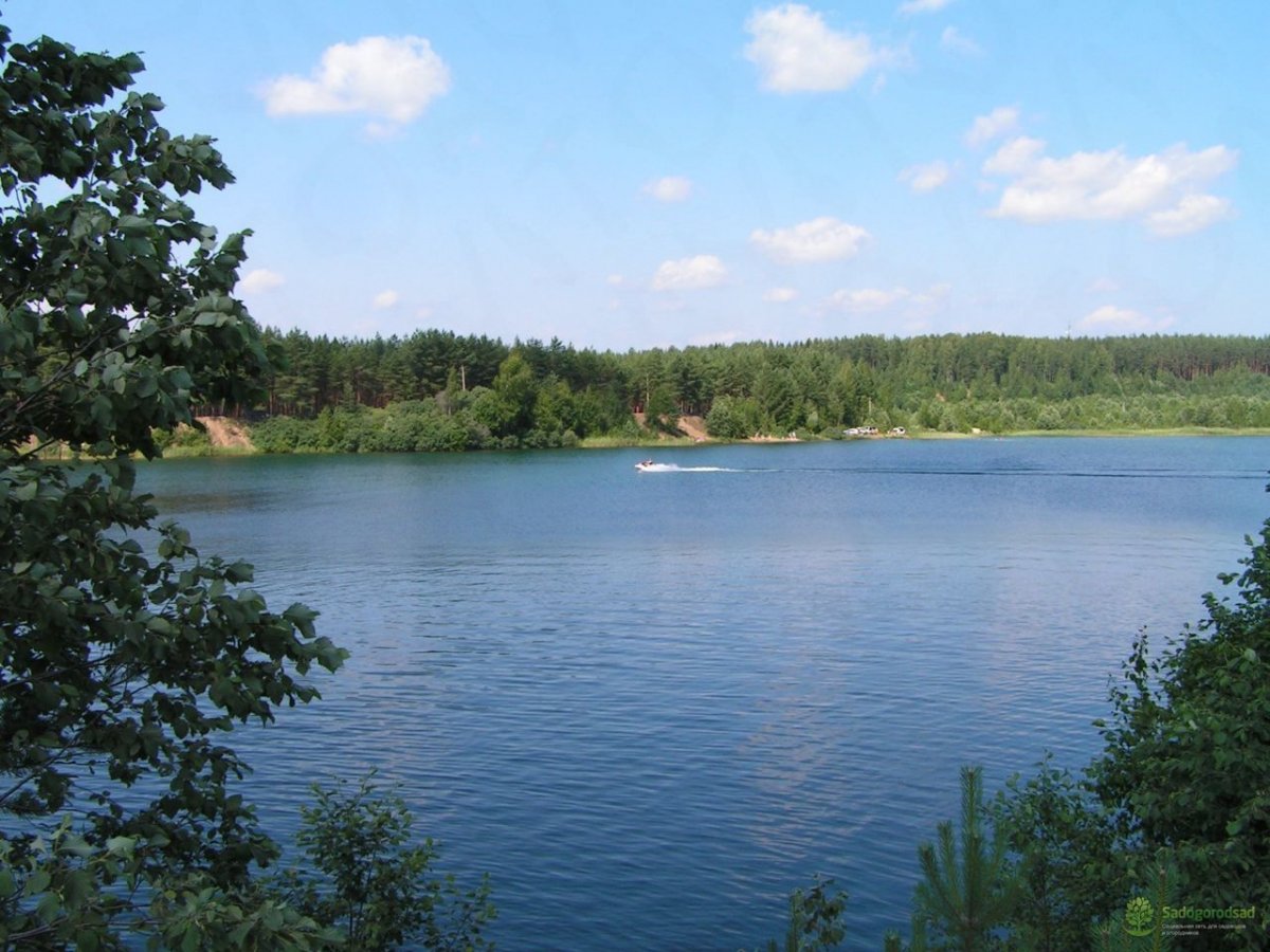 Озеро Нестеровское Тосненский район