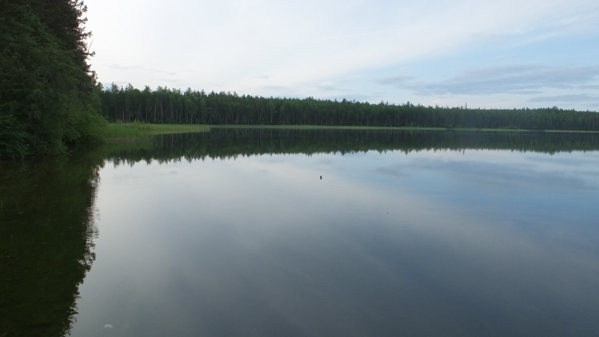Синемукса озеро