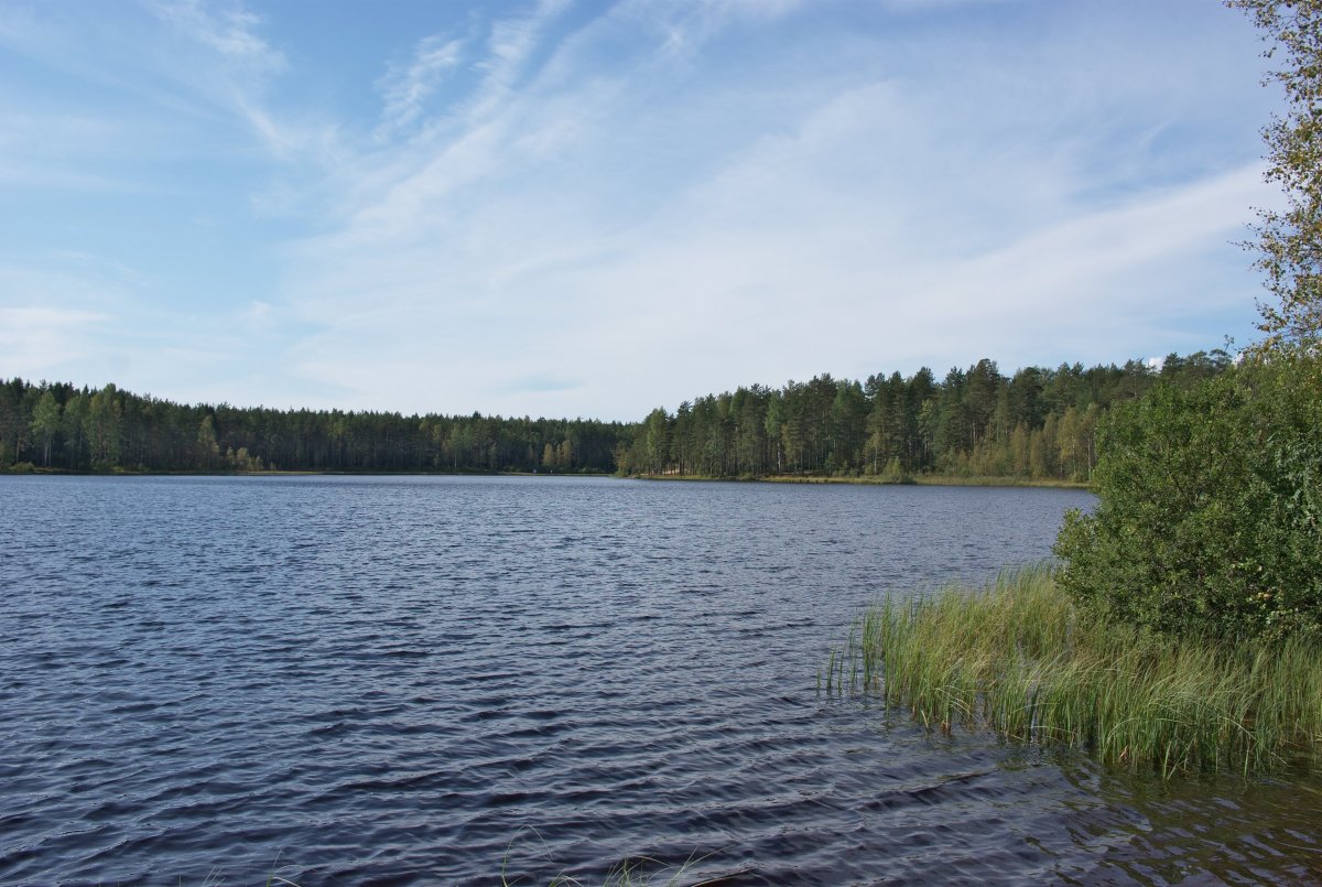 Озеро Нестеровское Тосненский