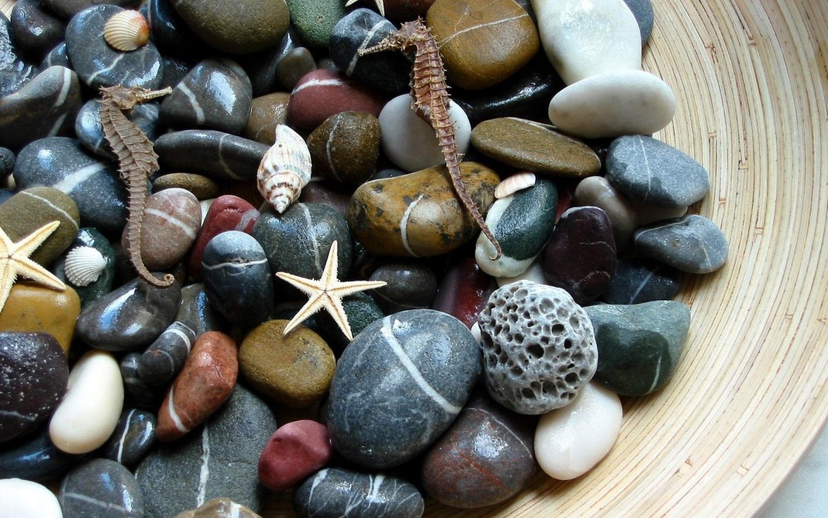 Камень морская галька