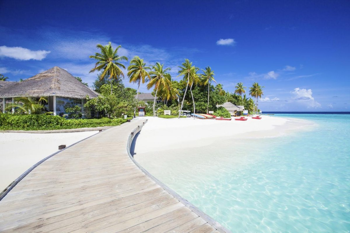 Niyama private Island Maldives домашний риф