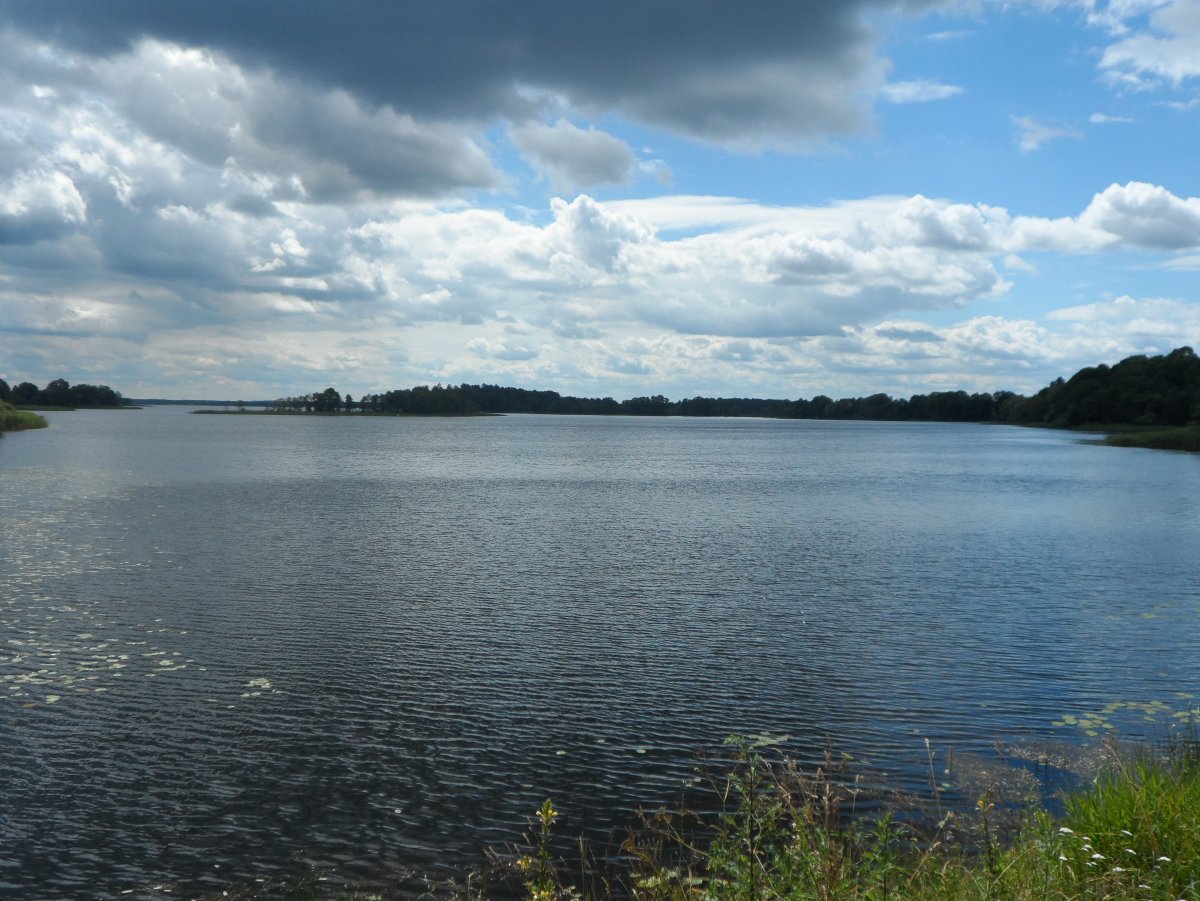 Браславские озёра лес Богинский