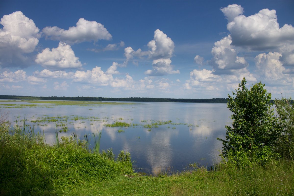 Струсто, Браславские озёра
