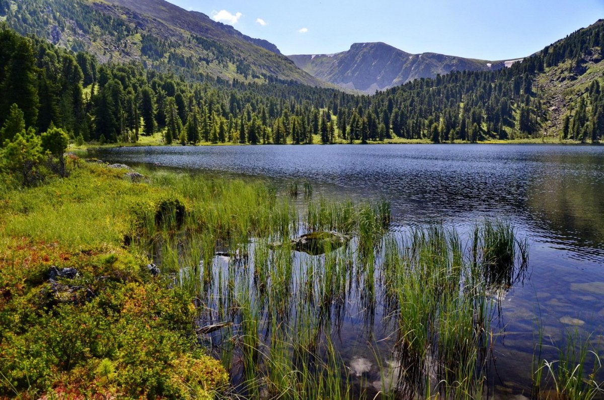 Каракольские озёра горный Алтай