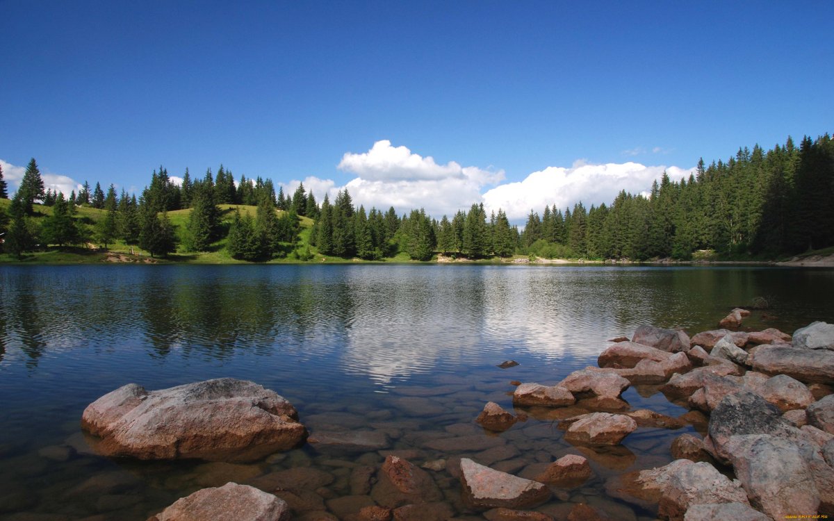 Озеро Карелия камни лес
