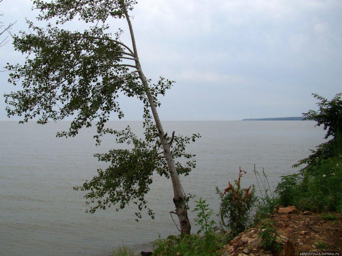 Озеро ханка остров Сосновый
