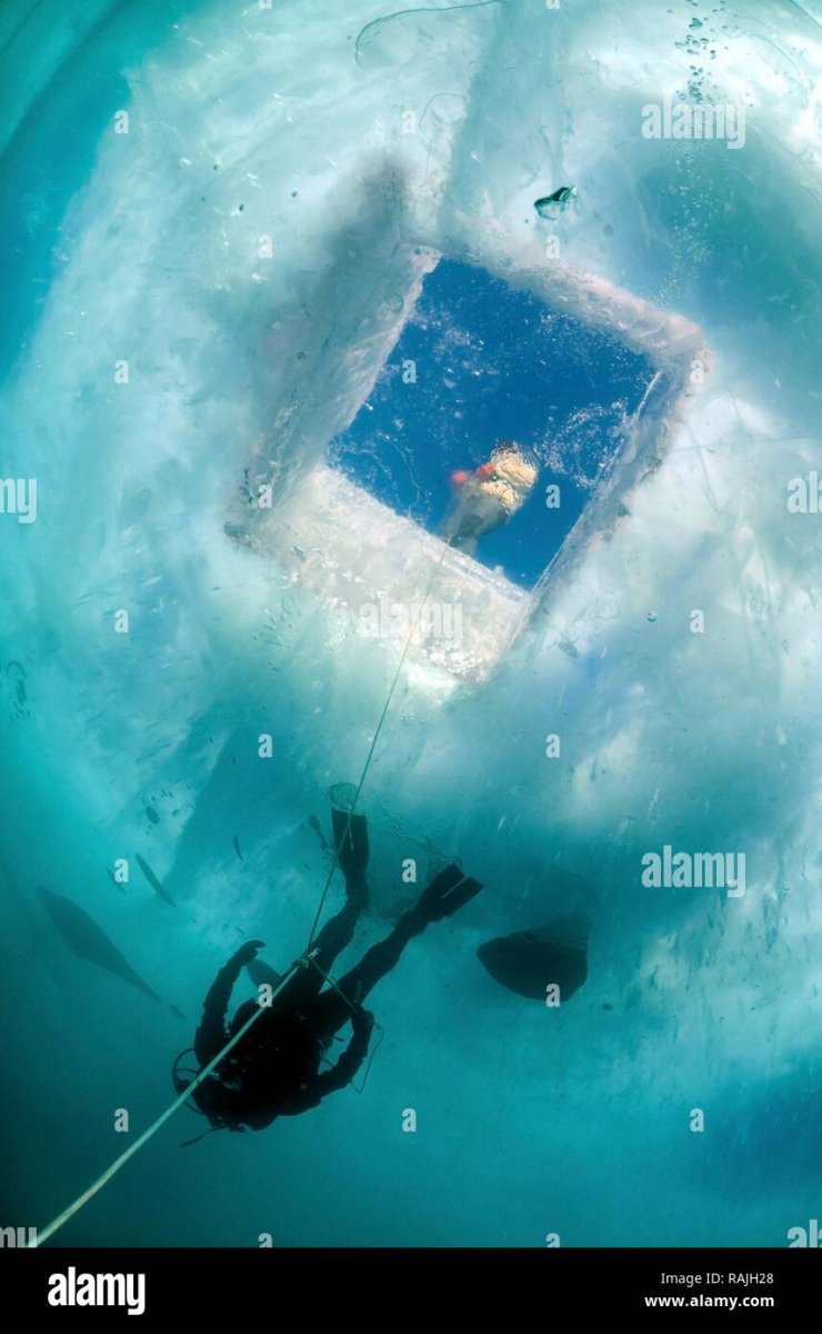 Ice Diving (айс-дайвинг)