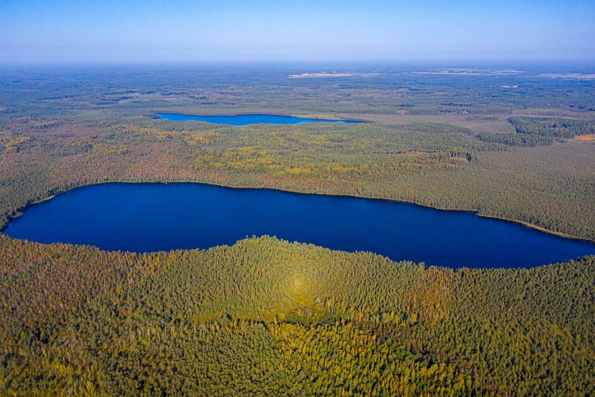 Озеро Мульное в Белоруссии
