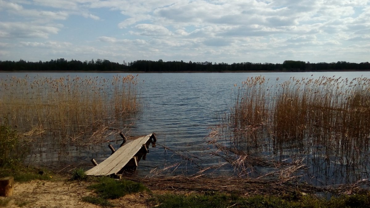 Озеро Каташи Кобринский район