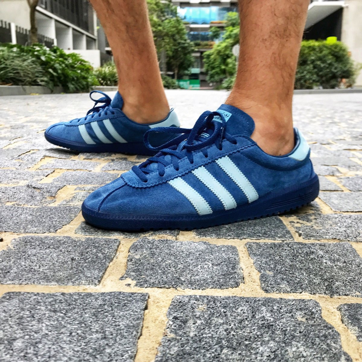 Adidas Bermuda 2017