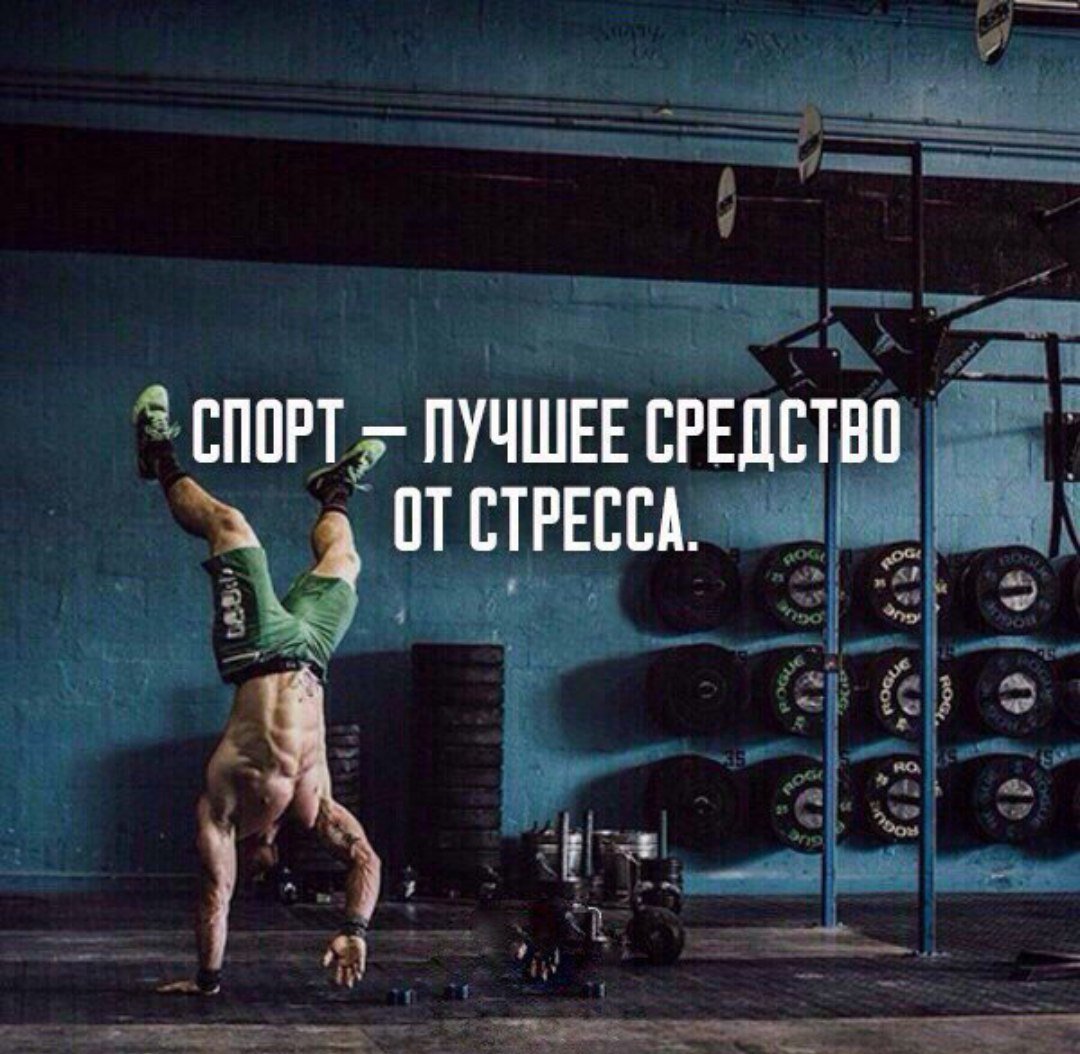 Моиивацияна тренировки