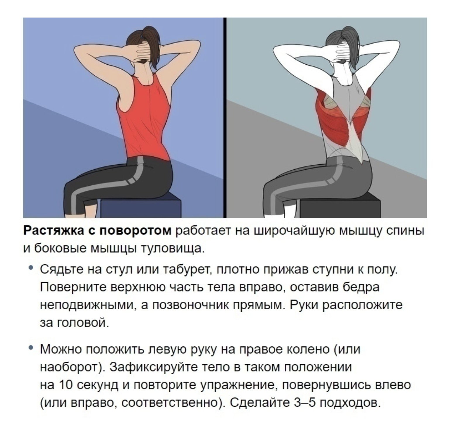 Упражнения на спину польза. Упражнения на растяжку верхней части спины. Упражнения для растяжения мышц спины. Мышцы верхней части спины упражнения. Ромбовидная мышца упражнения.