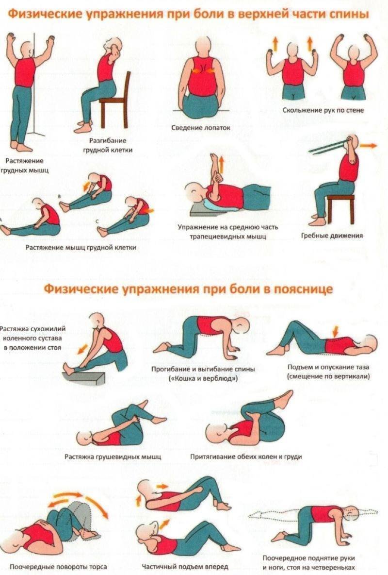 Упражнения для укрепления мышц спины при остеохондрозе