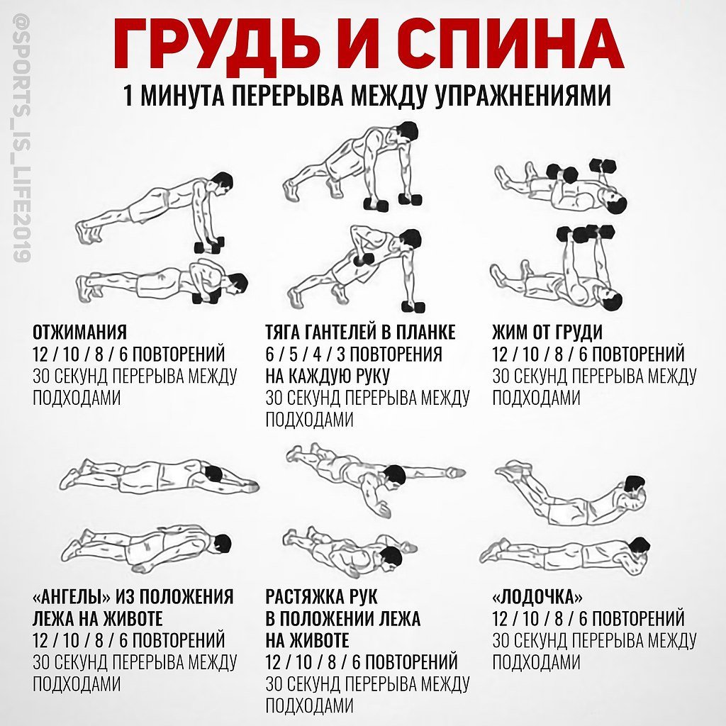 тренировать спину или грудь в одну тренировку (120) фото