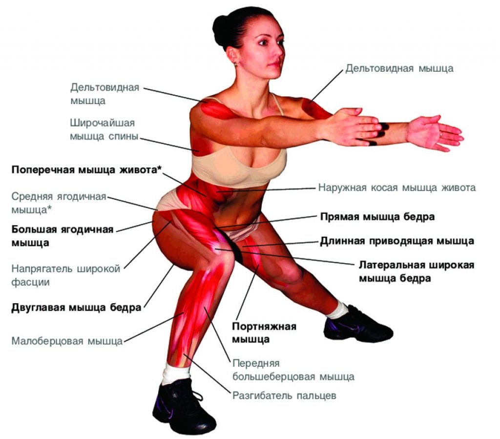 Выпады группы мышц