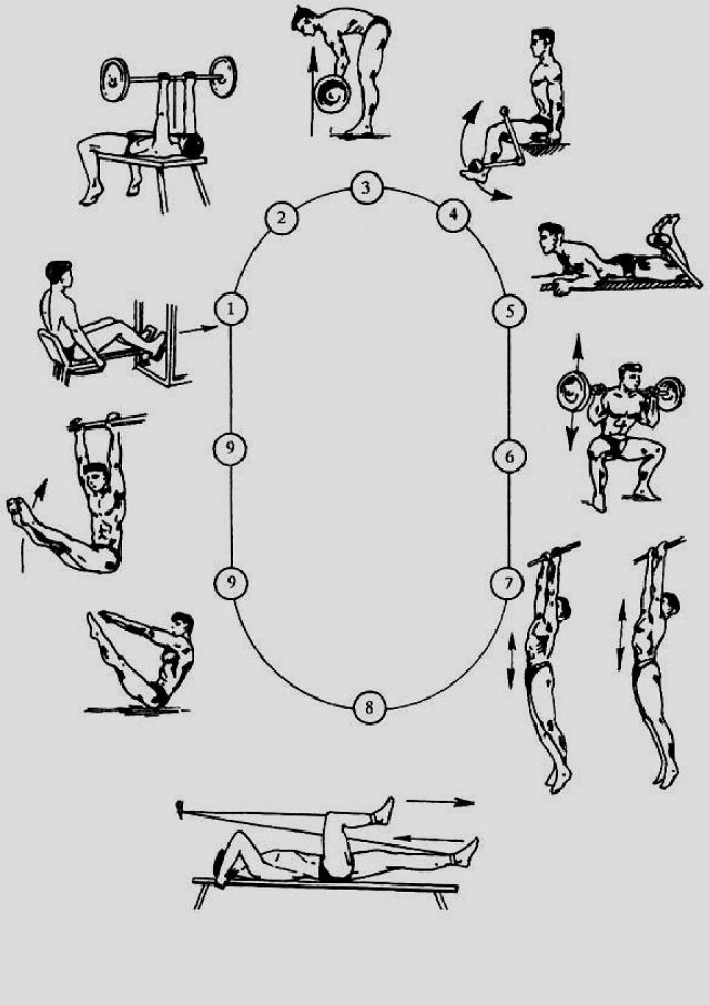 Комплекс упражнений с использованием метода круговой тренировки. Комплекс круговой тренировки для сжигания жира. Круговая силовая тренировка для мужчин. Силовые упражнения для круговой тренировки. Круговая тренировка на тренажёрах на сжигание жира.