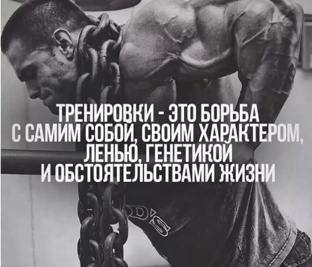 Спортивные цитаты