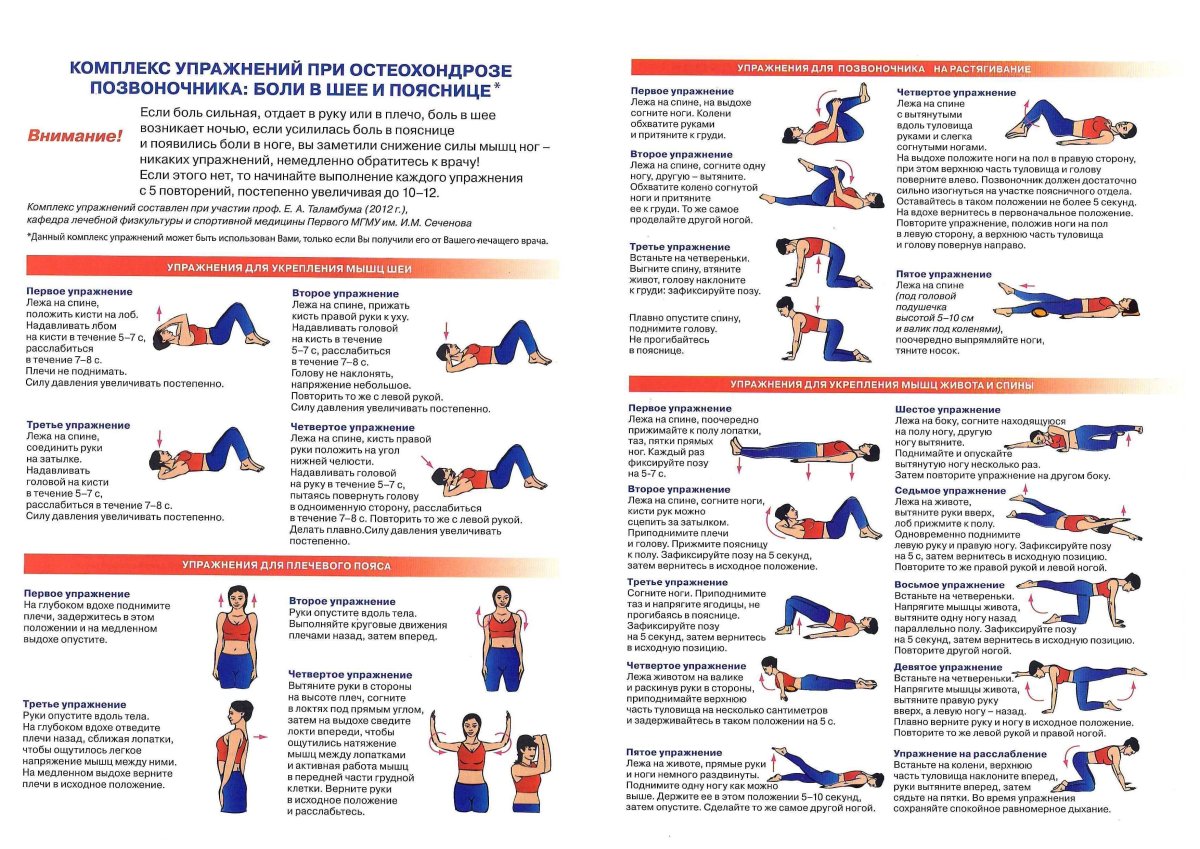 Упражнения для укрепления мышц шеи сзади