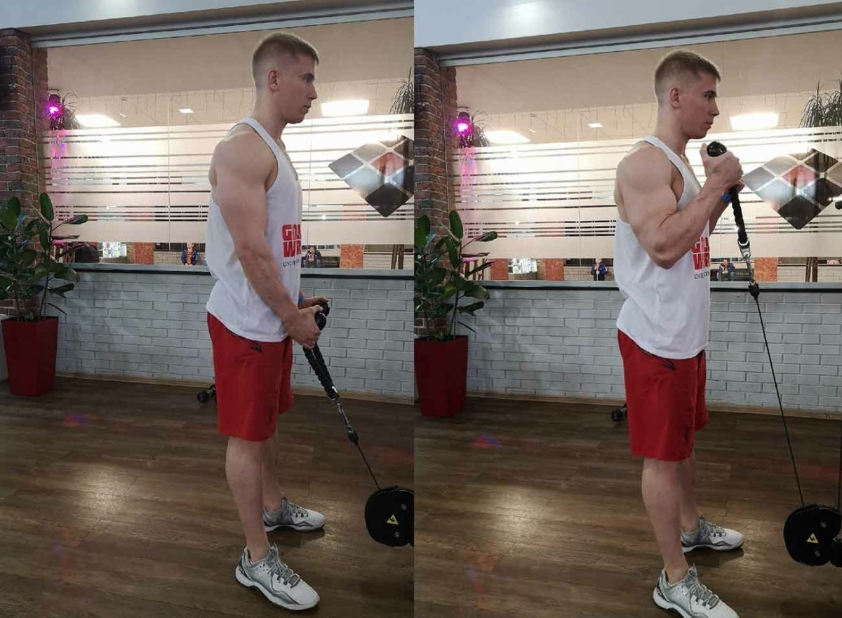 Cable straight Bar Reverse Curls