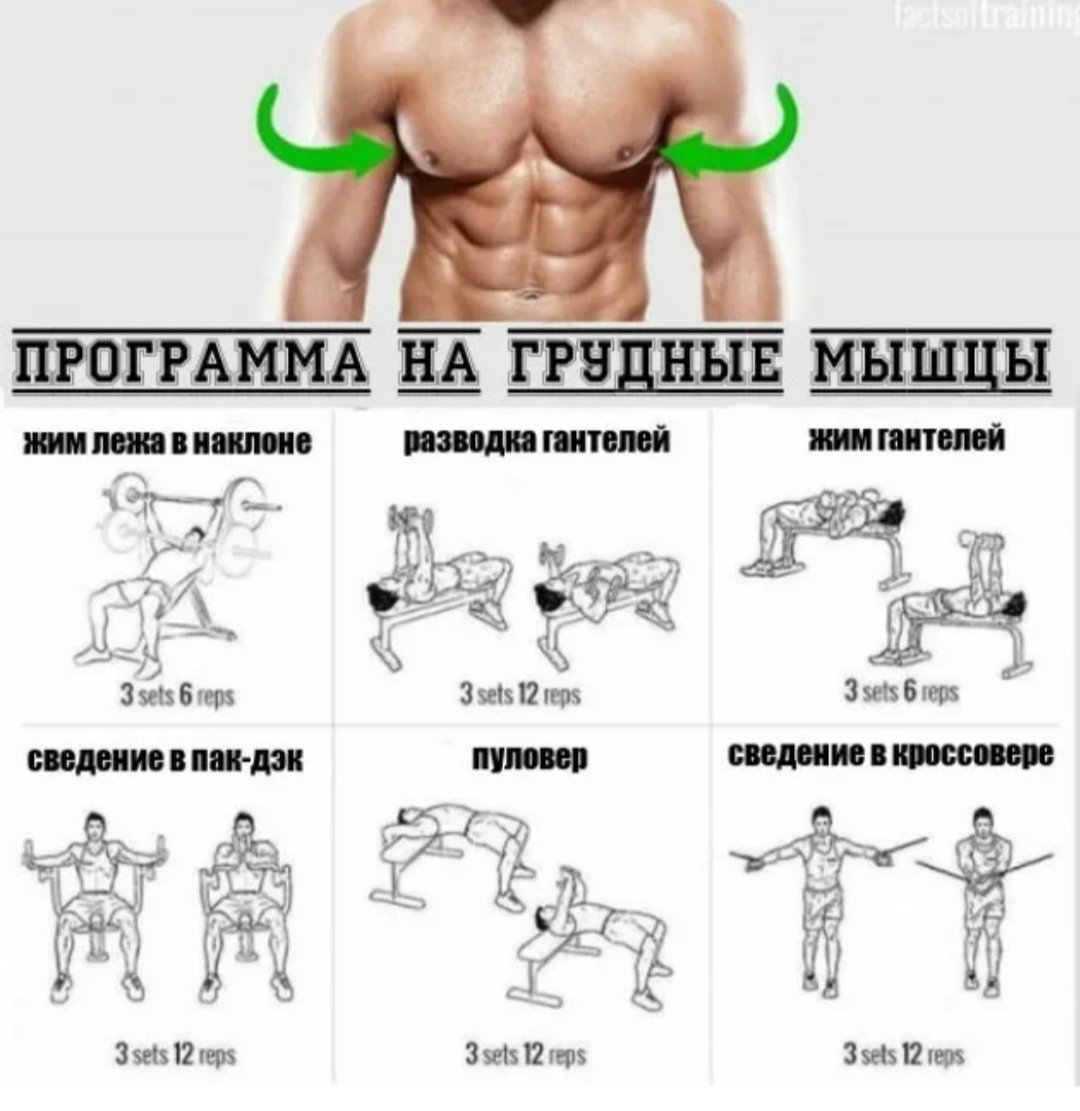 рост мышц груди у мужчин фото 1